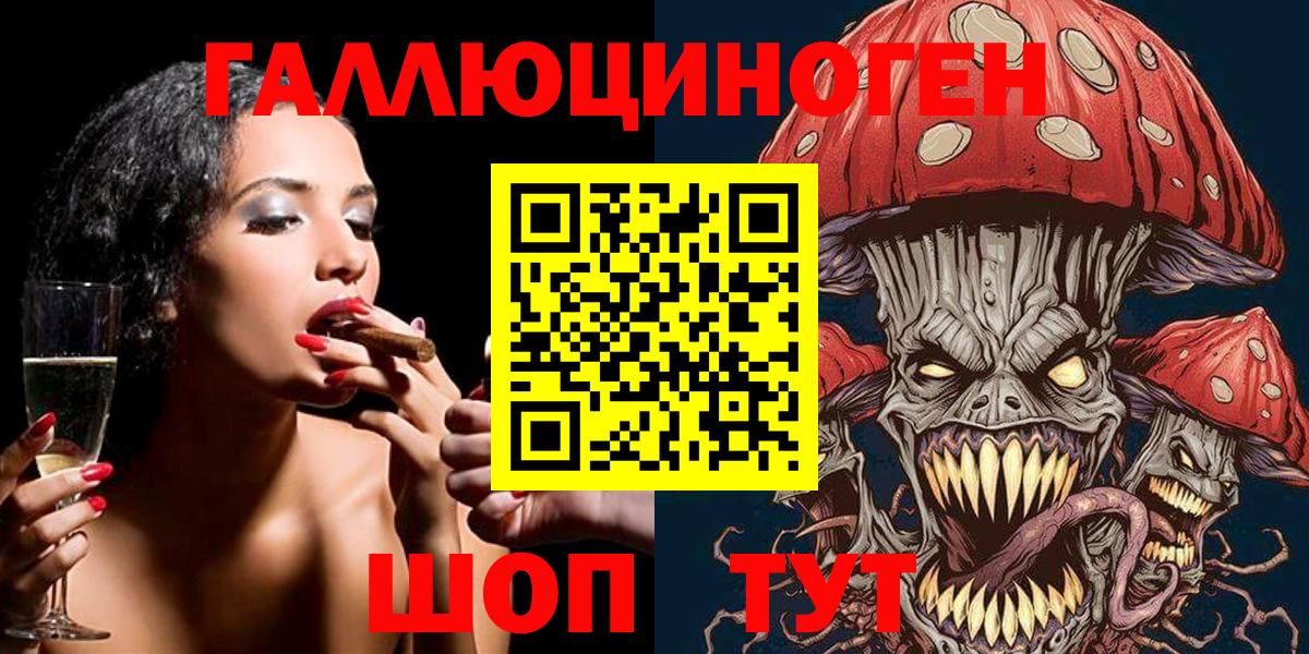 Елабуга  Псилоцибиновые грибы Psilocybine cubensis  Вход с VPN  Псилоцибиновые грибы прущие грибы 